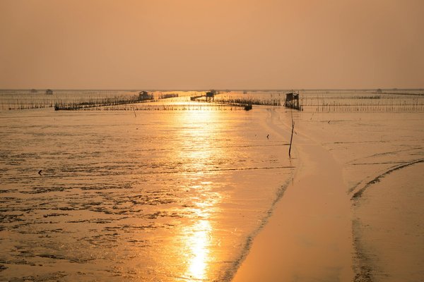 Quels sont les meilleurs itinéraires pour une croisière fluviale sur la Volga en Russie?