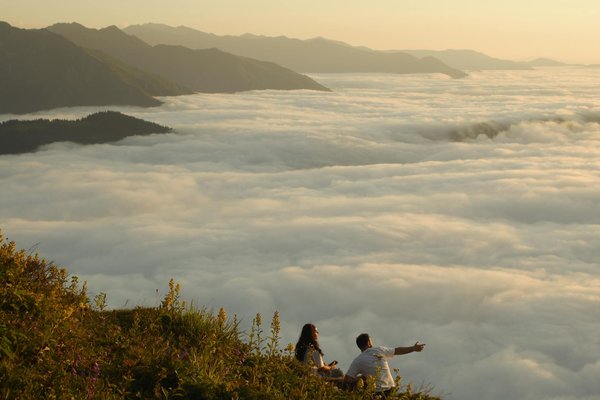Quels sont les meilleurs spots pour le snorkeling avec les dauphins dans la baie de Bazaruto, Mozambique : conseils et périodes ?