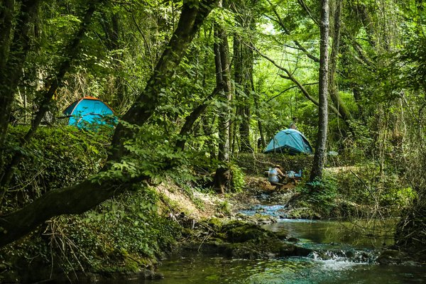 Quels sont les équipements nécessaires pour un camping en région de forêt de conifères en été?