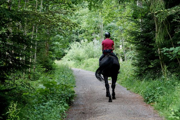 Quels sont les critères pour choisir une maison de vacances en Provence avec des ateliers de peinture et des balades à cheval?